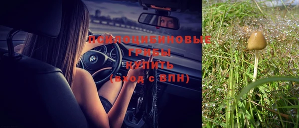 спиды Балабаново