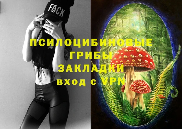 гашиш Каменка