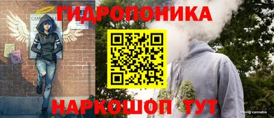 кокс Бийск