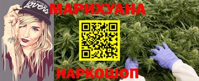 сатива Балаково