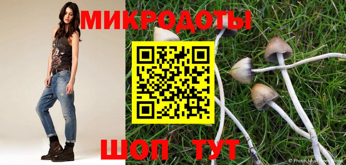 Вятские Поляны  Псилоцибиновые грибы ЛСД  Вход с VPN 