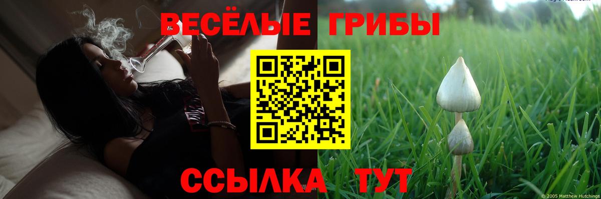 Галлюциногенные грибы ЛСД Вятские Поляны